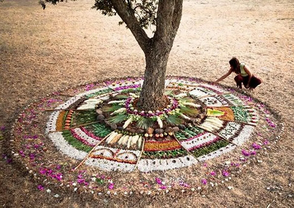 Ejemplos de mandalas naturales de Inés de Barros Baptista