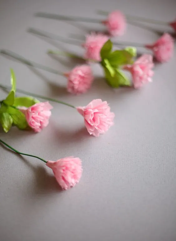 ~Ruffles And Stuff~: DIY Crepe Paper Carnations!: 