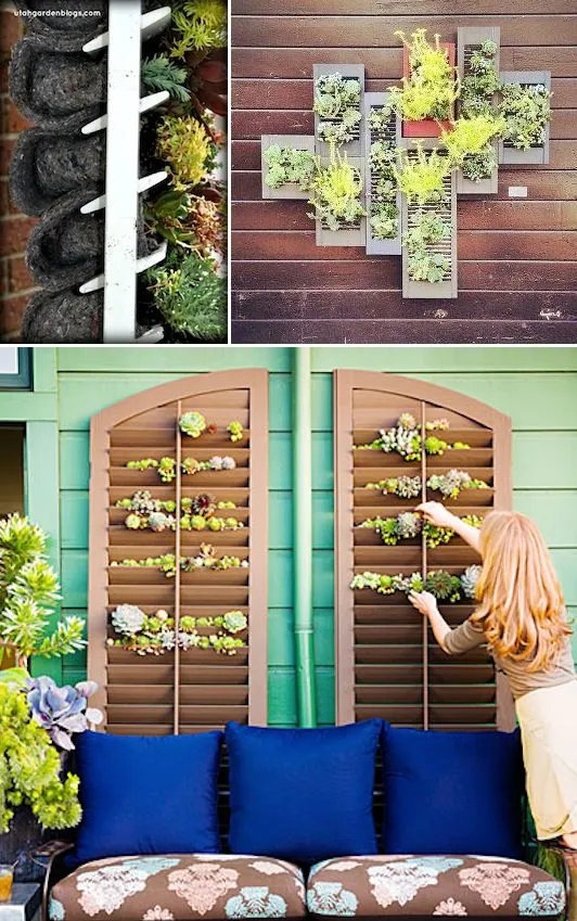 decorar jardin reciclando ventanas