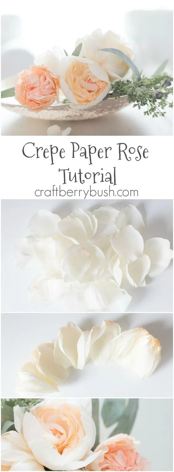 crepepaperrosetutorialpin: 