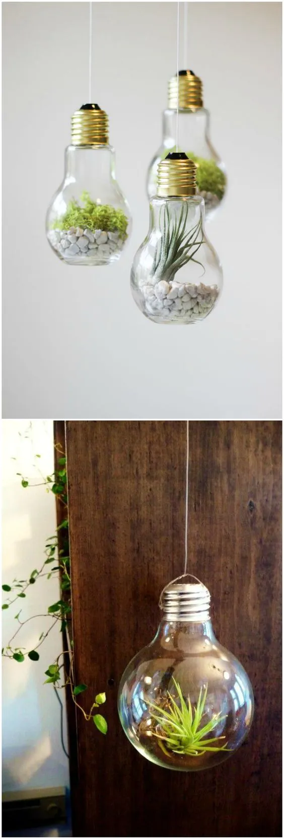 Increíble sin Presidente ▷ ✓37 ideas para decorar con bombillas recicladas 【TOP 2022】 - Uma Manualidades Increíble sin Presidente ▷ ✓37 ideas para decorar con bombillas recicladas 【TOP 2022】 - Uma Manualidades