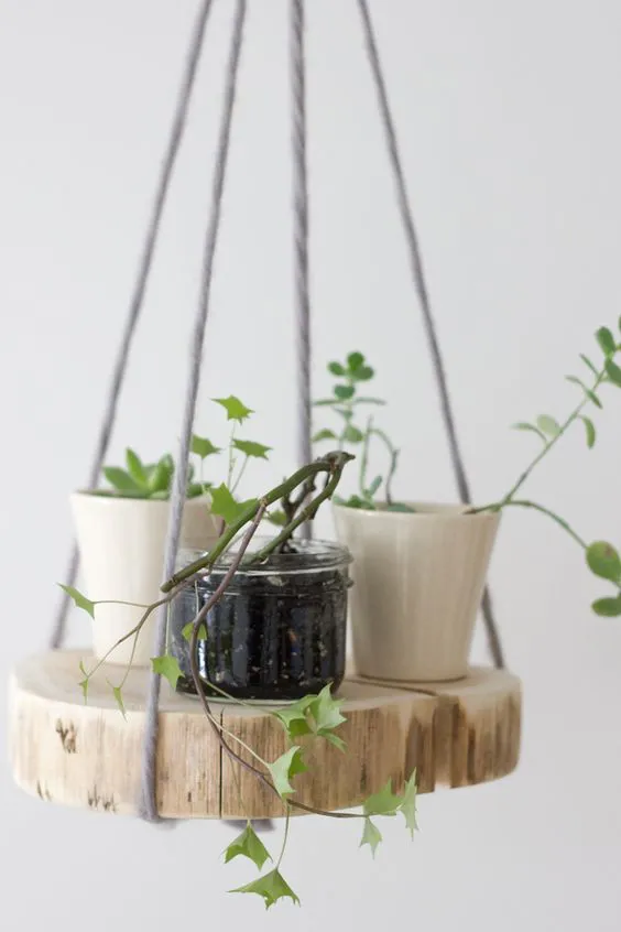 DIY wood shelf plant hanger: 