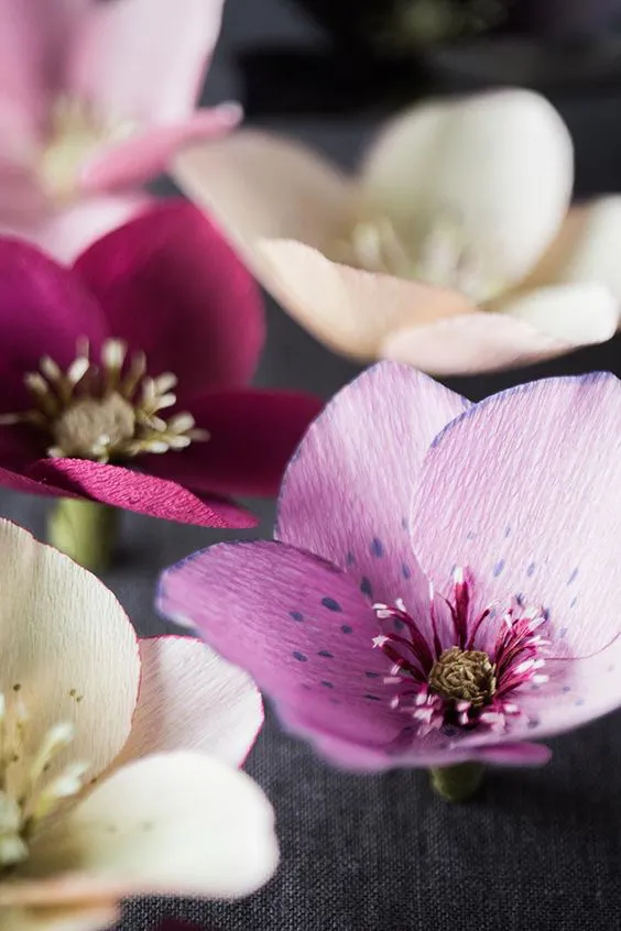 Beautiful paper flower tutorial from Cobralily shop on Design*Sponge: 