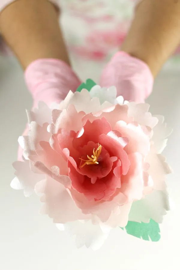 28 tutoriales sencillos de flores de papel arroz 【TOP 2022】 Uma