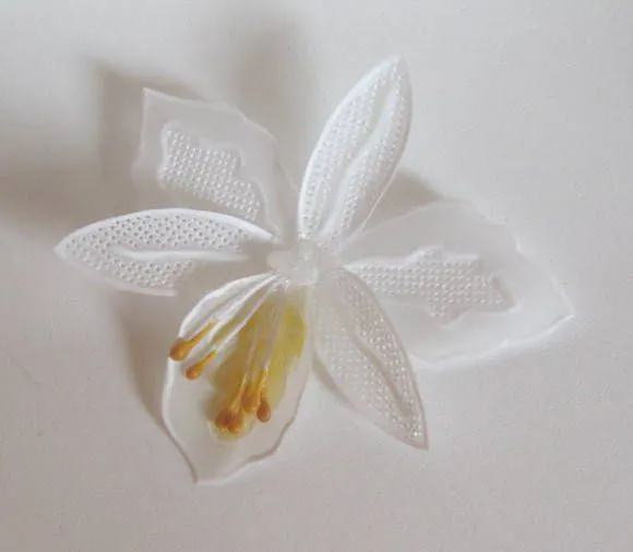 flores en papel vegetal