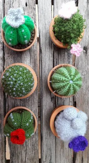 cactus crochet amigurumi