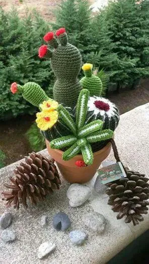 cactus de ganchillo amigurumi