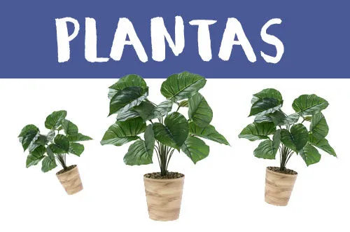 Manualidades con plantas