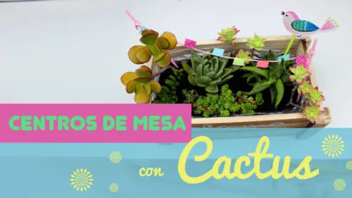 centro de mesa con cactus y suculentas