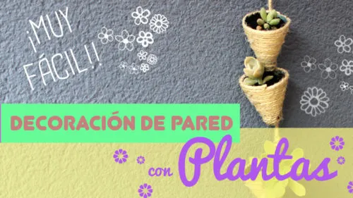 manualidades con plantas colgantes