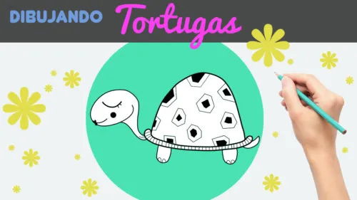 Aprender a dibujar una tortuga