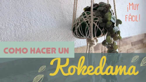 Cómo hacer un Kokedama