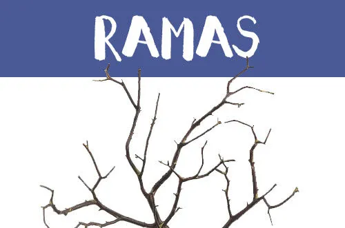 Manualidades con ramas