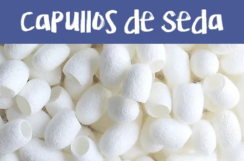 Manualidades con Capullos de Seda