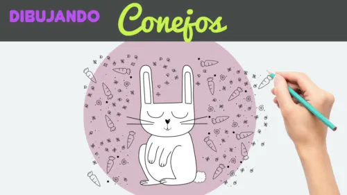 dibujar un conejo